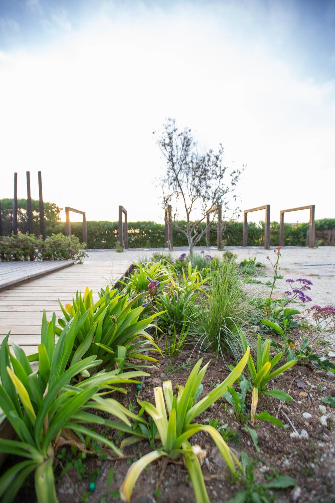 Villa Refugio Lobos à Pichilemu Extérieur photo